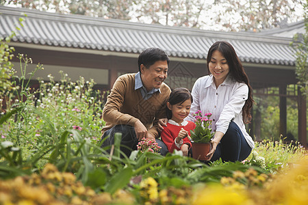在花园的幸福家庭退休女儿长发活动衣物微笑女性植物庭院三个人图片