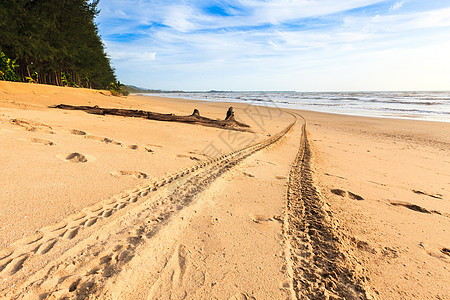 金沙上的铁轨小路车辆支撑海滩海岸车轮地平线痕迹踪迹波纹图片