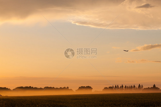 在雾中横越农村房子蓝色旅行航班天空飞行全景牧场农场飞机图片