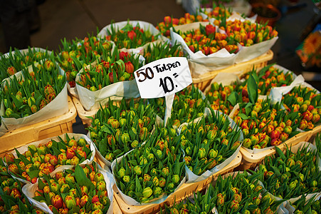阿姆斯特丹花卉市场店铺季节性植物群花店价格零售植物绿色销售花束图片