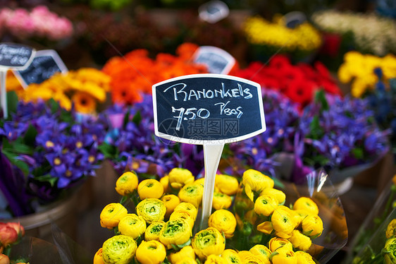 阿姆斯特丹花卉市场季节性店铺销售花店绿色花束零售花园植物群植物图片