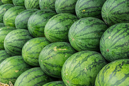 西瓜框架水果食物太阳农业种子小吃图片