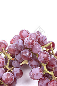 白色背景的红葡萄院子播种浆果维生素葡萄园矿物生产飞沫纤维藤蔓图片