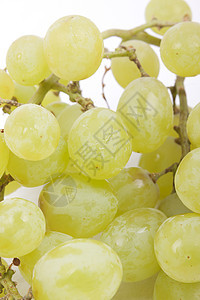 白色背景的绿葡萄数果汁纤维葡萄干矿物生活植物紫色种子院子水果图片