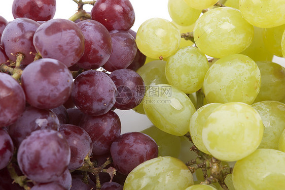 白色背景的绿葡萄和红葡萄紫色维生素生活种子水果饮食浆果院子飞沫葡萄园图片