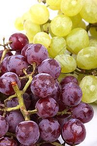 白色背景的绿葡萄和红葡萄生活葡萄干院子生产播种飞沫水果矿物紫色藤蔓图片