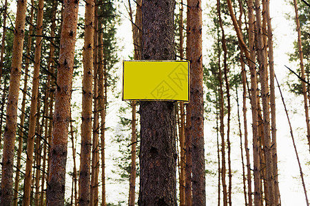 树上空黄色符号图片