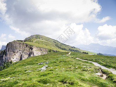 贝亚登堡 瑞士荒野植物群旅游旅行花朵公园环境草地山脉松树图片