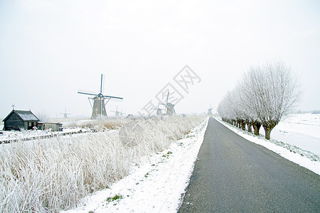 来自荷兰农村的Traditonal风力车历史性历史树木地标风车风景房子图片