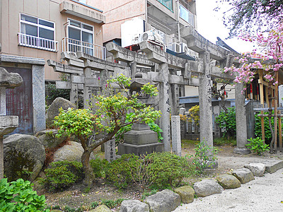 日本福冈神庙新道门图片