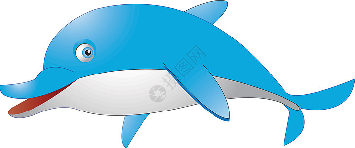 蓝海豚插图图片
