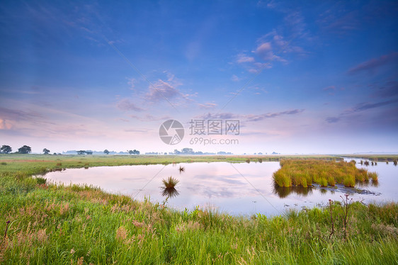 日出时的野湖绿色反射荒野乡村蓝色地平线风景粉色天空农村图片