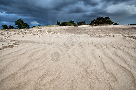 沙丘上的风沙质图片