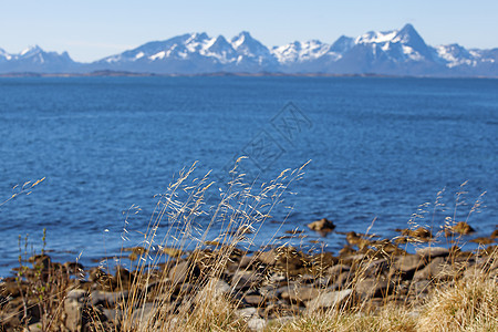 挪威湾蓝色山脉海滩风景旅行峡湾天空海洋顶峰乡村图片