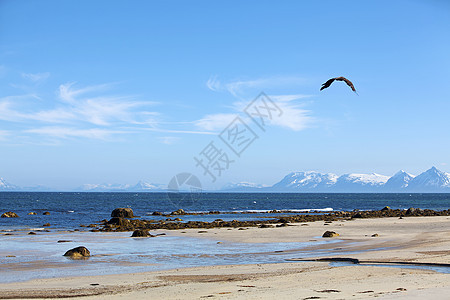 挪威湾旅行风景支撑峡湾天空蓝色山脉海滩群岛顶峰图片