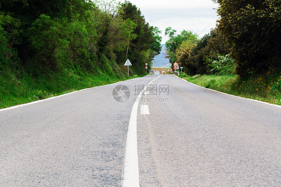 路晴天小路旅行叶子街道沥青曲线国家环境树木图片