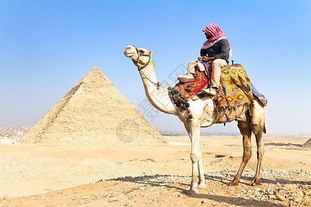 埃及开罗吉萨金字塔的骆驼游客考古学废墟旅游建筑学世界遗产哺乳动物遗产历史性灰尘图片