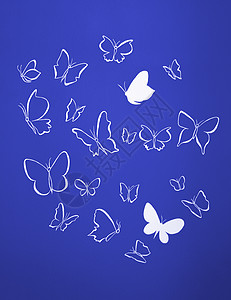 白色圆光影飞翔的蝴蝶背景材料团体飞行墙纸图片