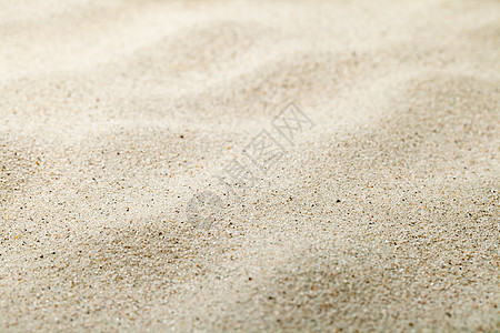 沙沙背景沙漠假期旅行黄色二氧化硅海洋棕色热带自然水泥图片