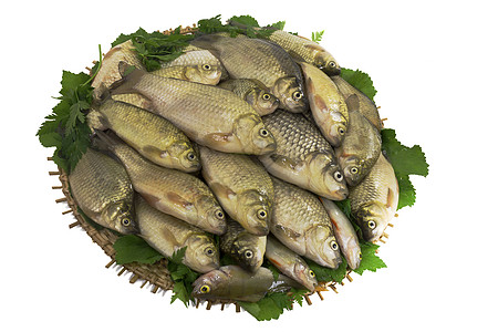 河流鱼和圆盘上的绿菜动物群钓鱼产品美食烹饪食物爱好图片