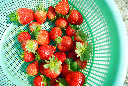 新鲜草莓食品食物水果图片