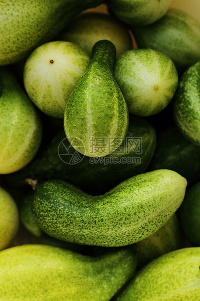 绿黄瓜 背景饮食店铺收成蔬菜植物团体食物绿色小吃市场图片