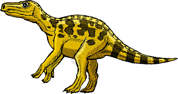 蜥蜴岛恐龙卡通片爬行动物手绘古生物学动物侏罗纪怪物插图草图图片