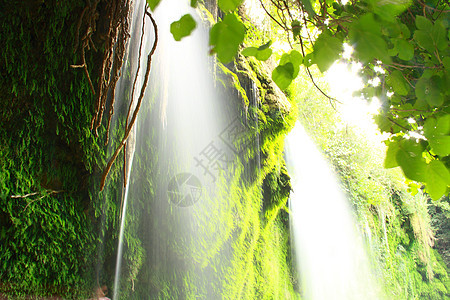 流水的岩石上溪流速度公园旅行叶子火鸡绿色瀑布环境流动图片