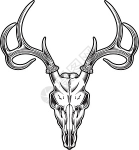 Deer Skull 向量图片