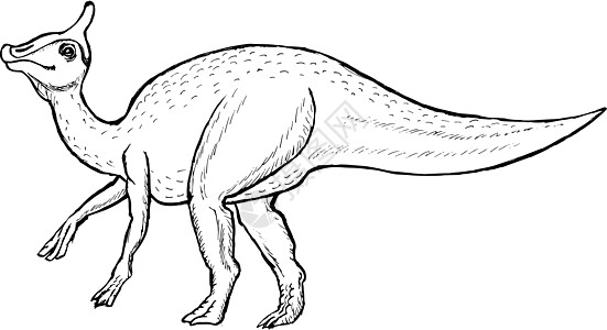 亚罗洛弗斯卡通片侏罗纪手绘爬行动物古生物学怪物动物插图恐龙草图图片