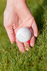 绿色草地上的高尔夫球和铁 大型夏季户外竞赛游戏运动金属爱好球具娱乐场地课程球座图片