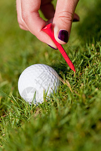 绿色草地上的高尔夫球和铁 大型夏季户外金属球座闲暇爱好推杆球具俱乐部高尔夫场地运动图片