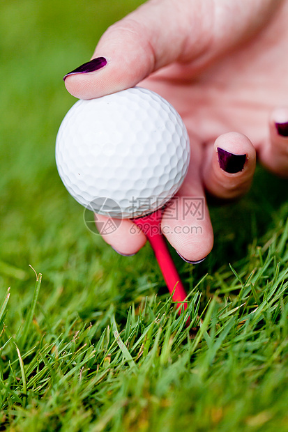 绿色草地上的高尔夫球和铁 大型夏季户外课程推杆爱好金属运动宏观竞赛高尔夫娱乐闲暇图片