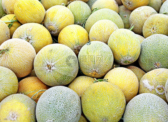 黄瓜蔬菜营养饮食热带圆圈异国食物季节小吃水果图片