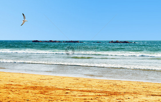 美丽的海滩 水中的石头 天空中的海鸥图片