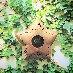 旧星悬挂在长春藤墙上装饰的旧恒星 并配有逆向过滤器eff图片