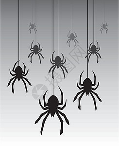 矢量悬吊蜘蛛卡通片灰色陷阱墙纸艺术网络团体白色插图危险图片