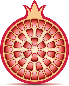 矢量石榴饮食热带种子维生素植物宏观食物水果粮食插图图片