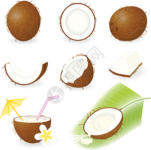 椰子甜点食物情调异国网络团体水果树叶饮食坚果图片
