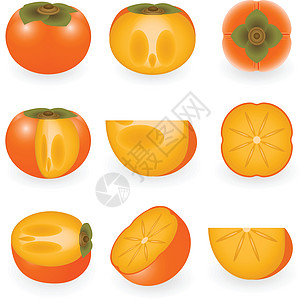 Persimmon 双环西蒙小吃食物互联网艺术水果叶子菜单纽扣热带果实图片