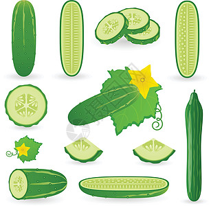 黄瓜网络小吃藤蔓养分收藏农业插图电脑横截面食物图片