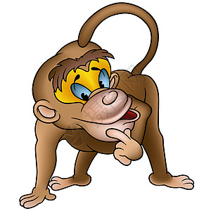 聪明猴子图片