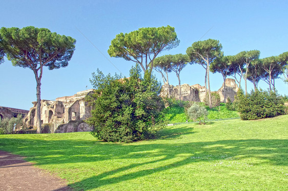 Palatine山论坛废墟历史纪念碑建筑学马戏团旅游住宅意大利语爬坡图片