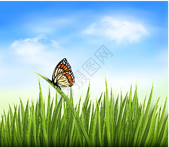 绿色草和蝴蝶的自然背景 矢量图片