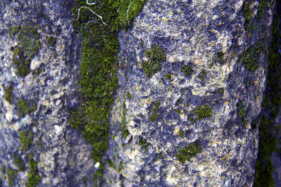 旧石块岩石模具生长地球国家材料苔藓风景生活地衣图片