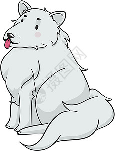 毛毛狗毛皮舌头哺乳动物萨摩耶皮毛动物白色犬类牧羊人宠物图片