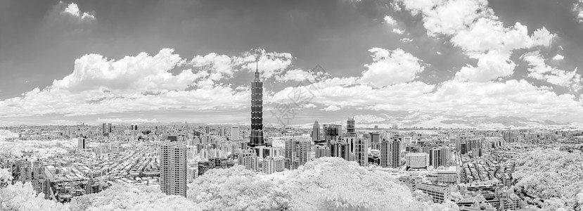 台北市景森林天际旅行摩天大楼首都景观红外线市中心天堂建筑图片