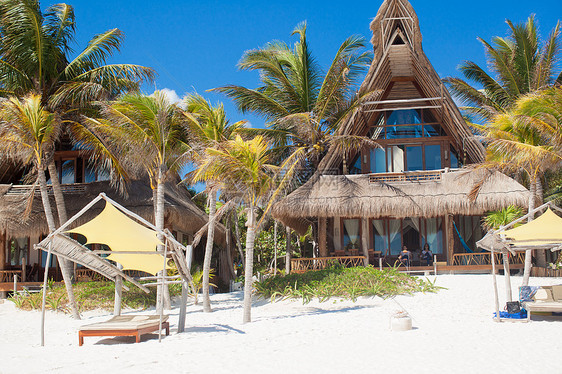 在海岸带有棕榈树的热带度假胜地举办豪华酒店小路小屋住宅房间奢华情调旅游房子棕榈海洋图片