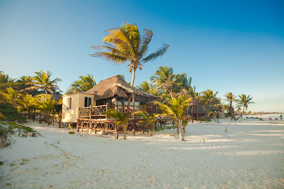 棕榈树间岸边的热带海滩平房奢华旅游小屋旅行住宅建筑花园阳台酒店假期图片