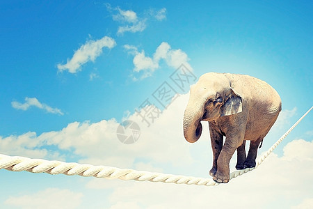 大象靠绳子行走力量平衡压力危险动物风险马戏团绳索漫画失败图片